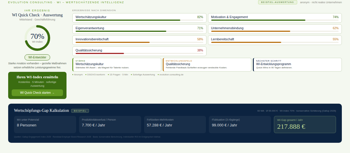 Ergebnisbeispiel WI-Quick Check cy evolution consulting 